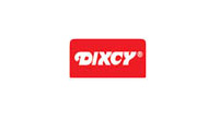 dixcy - Clients of Miraj Multicolour